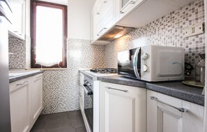 KĂŒhlschrank, Mikrowelle, Herdplatte, GeschirrspĂŒler