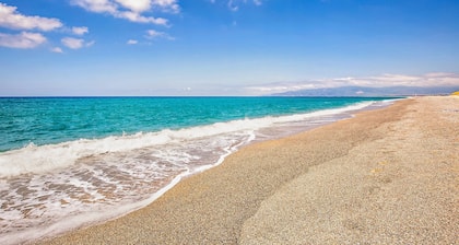 Pet friendly apartment