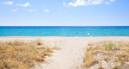 Appartement acceptant les animaux de.