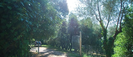 Property grounds