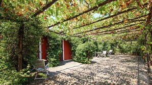 A vineyard with rows of grapevines, a red building, and outdoor seating. - Gorgeous home in Roma (Roma)