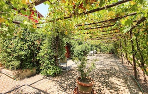 Parco della struttura