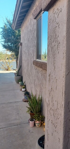 Exterior detail