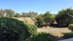 A garden with various shrubs and trees, a paved path, and a clear blue sky. - CAP D'AGDE - Plage du Môle / Réf 405 (CAP D'AGDE)