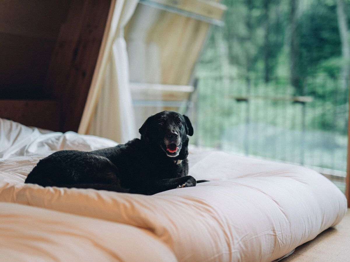 Simple Room, Non Smoking | Room amenity