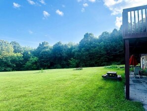 Restauration en plein air