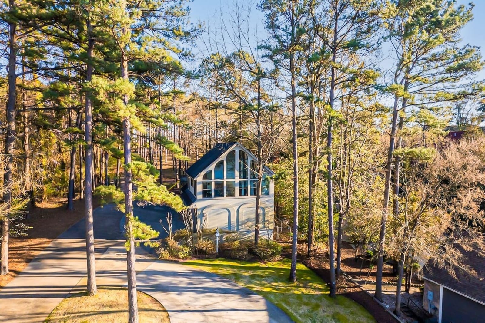 Modern Treehouse, Lake Access, Shared Sundeck