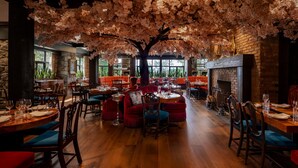 Ein Restaurant mit Holzböden, roten Sitzmöbeln und einem großen Baum mit rosa Blüten im Zentrum.