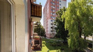 Un balcon donnant sur un immeuble à plusieurs étages, un espace verdoyant agrémenté de plantes en pot et un arbre.