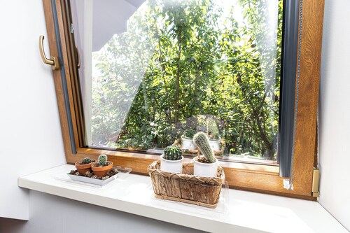 Apartament 294 W Cieniu Drzew