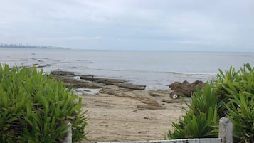 Ranta