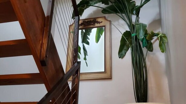 Un escalier en bois, agrémenté d’un pot de fleurs et d’un miroir encadré accroché au mur.