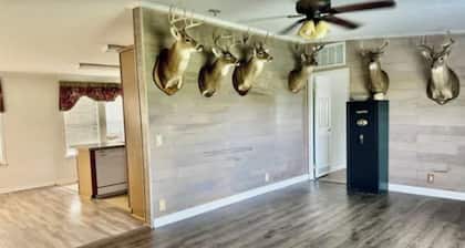 Wow 3 hotel rooms in 1 perfect stay over, thru Hinds County, Pets are allowed!