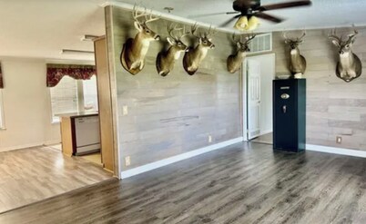 Wow 3 hotel rooms in 1 perfect stay over, thru Hinds County, Pets are allowed!