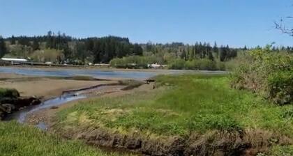 Walk to the Sound! From Fabulous RV with AC in charming Port Orchard!