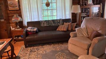 Televisión, chimenea, reproductor de DVD y libros