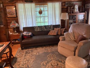 TV, fireplace, DVD player, books