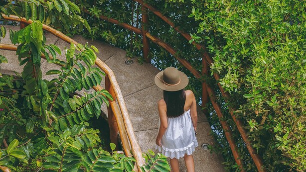 Una persona caminando sobre un puente de madera curvo, rodeada de abundante vegetación.
