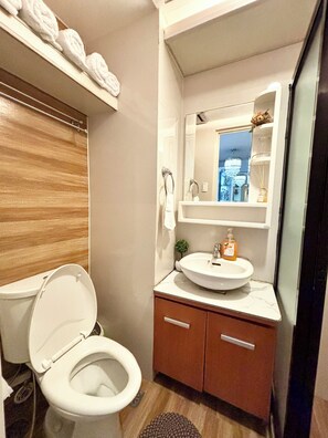 Regadera, bidet, toallas, jabón