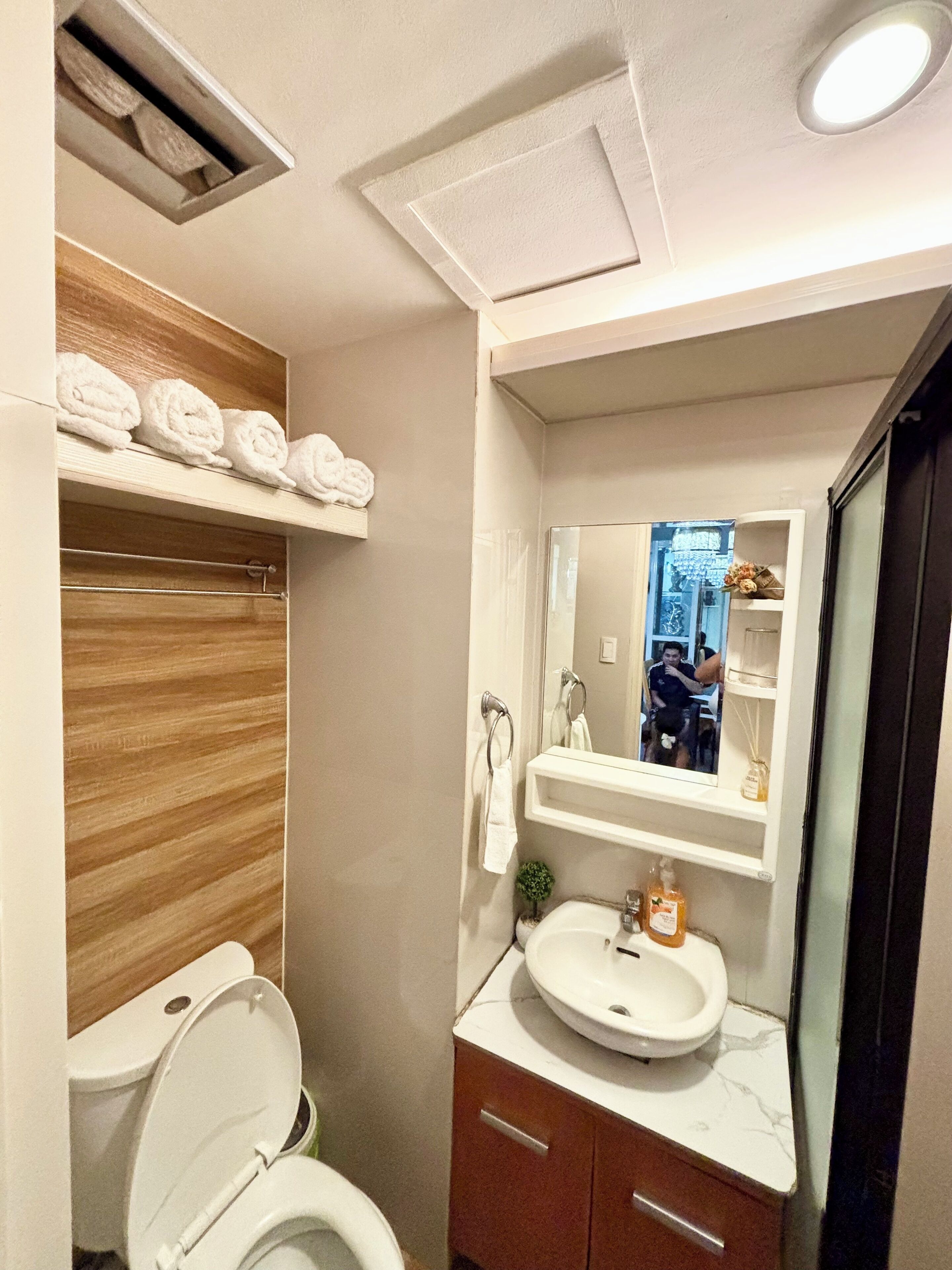 シャワー、ビデ、タオル、石鹸