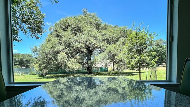 A table with a clear view of a tree and a grassy area through a window. - Contemporary 2 bedroom house in San Marcos close to campus, downtown & the river (San Marcos)
