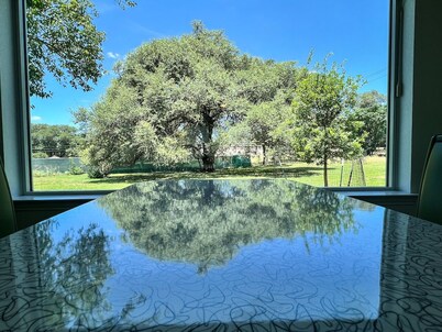 Contemporary 2 bedroom house in San Marcos close to campus, downtown & the river