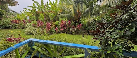 Studio, Patio, Garden View | Terrace/patio