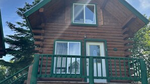 A wooden cabin with a green porch and two windows. - Chenik Cabin, Homer Floatplane Lodge (Homer)