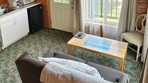 A compact room with a sofa, a small table with a book, a microwave, and a sink. - Chenik Cabin, Homer Floatplane Lodge (Homer)
