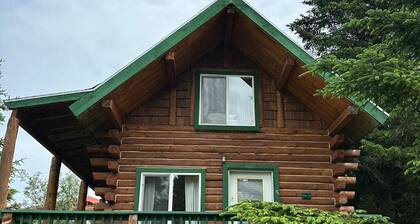 Brooks Falls, Homer Floatplane Lodge