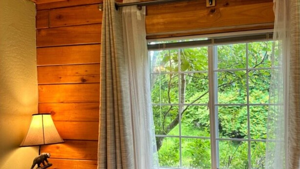 Ein Zimmer mit Holzwänden, einem Fenster mit Blick auf Grünflächen, einer Lampe und einem kleinen Tisch mit einer Bärenfigur.