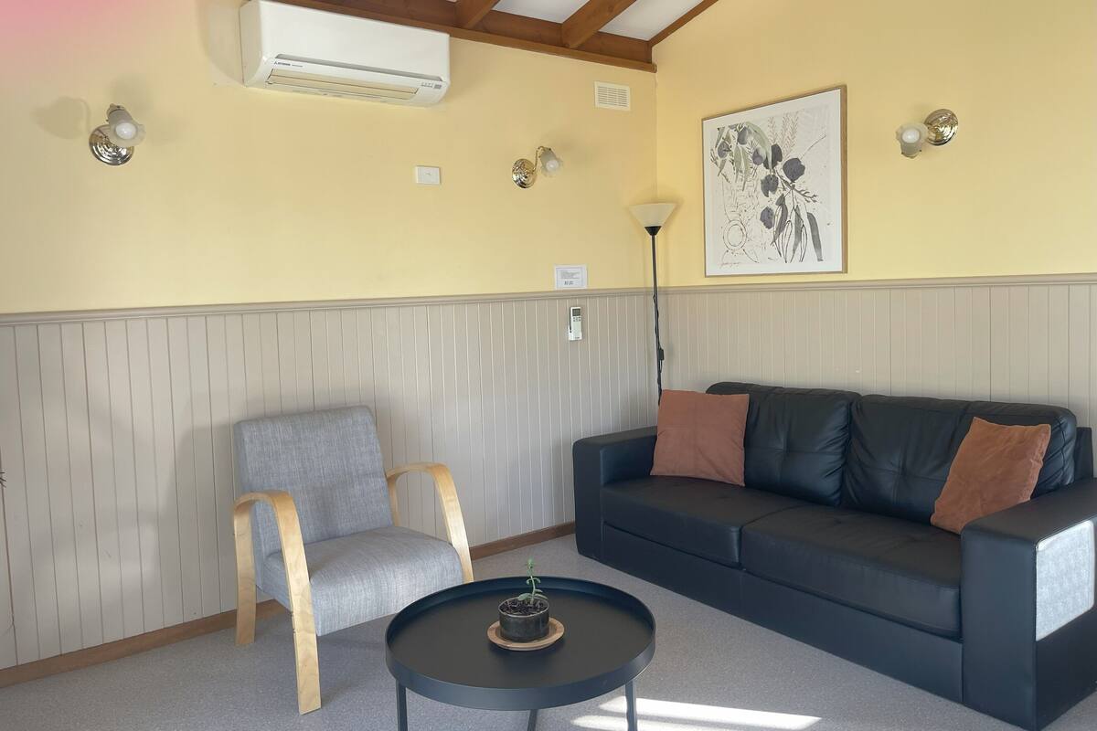 Ett vardagsrum med en svart lädersoffa, en grå fåtölj, ett litet runt bord med en krukväxt, en luftkonditioneringsanläggning och en vägglampa.