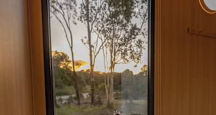 Wallaby by Tiny Away