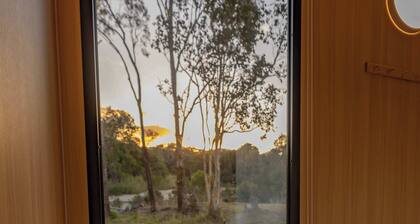 Wallaby by Tiny Away