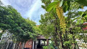 Standard trippelrum | Gratis wi-fi