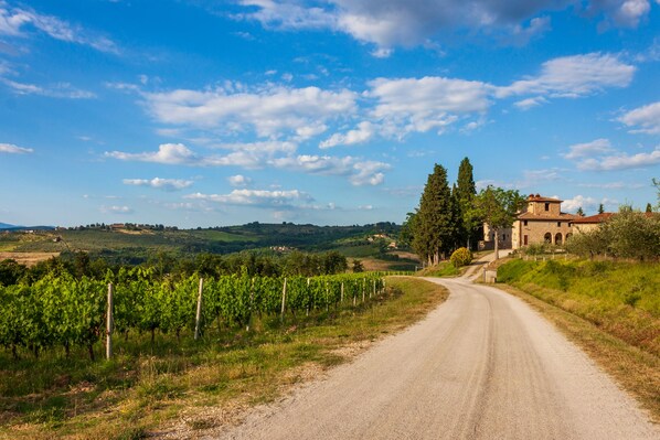 A rural road leading to a historic building surrounded by vineyards. - Chianti Wine Site Apt Private Balcony (Montespertoli)