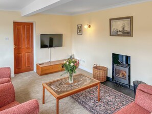 Fernseher, Kamin