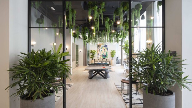 Un espace de bureau au design moderne, comprenant une table centrale entourée de chaises, des plantes en pot et des plantes suspendues.