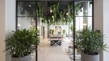 House | 1 bedroom, Internet