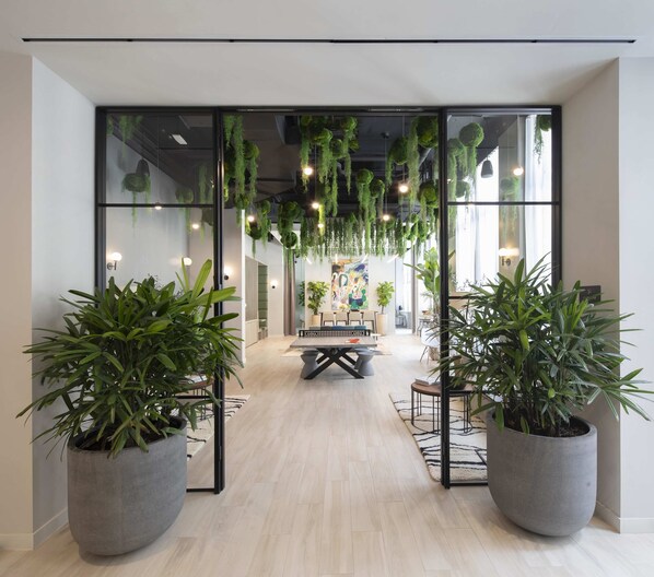 House | 1 bedroom, Internet