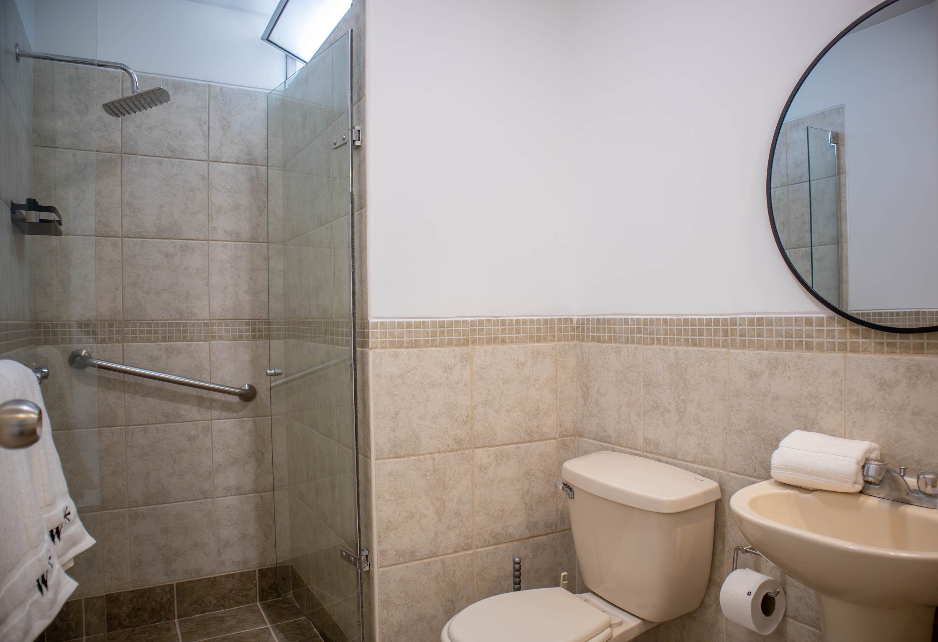 A bathroom with a glass shower enclosure, a toilet, a sink, and a mirror.