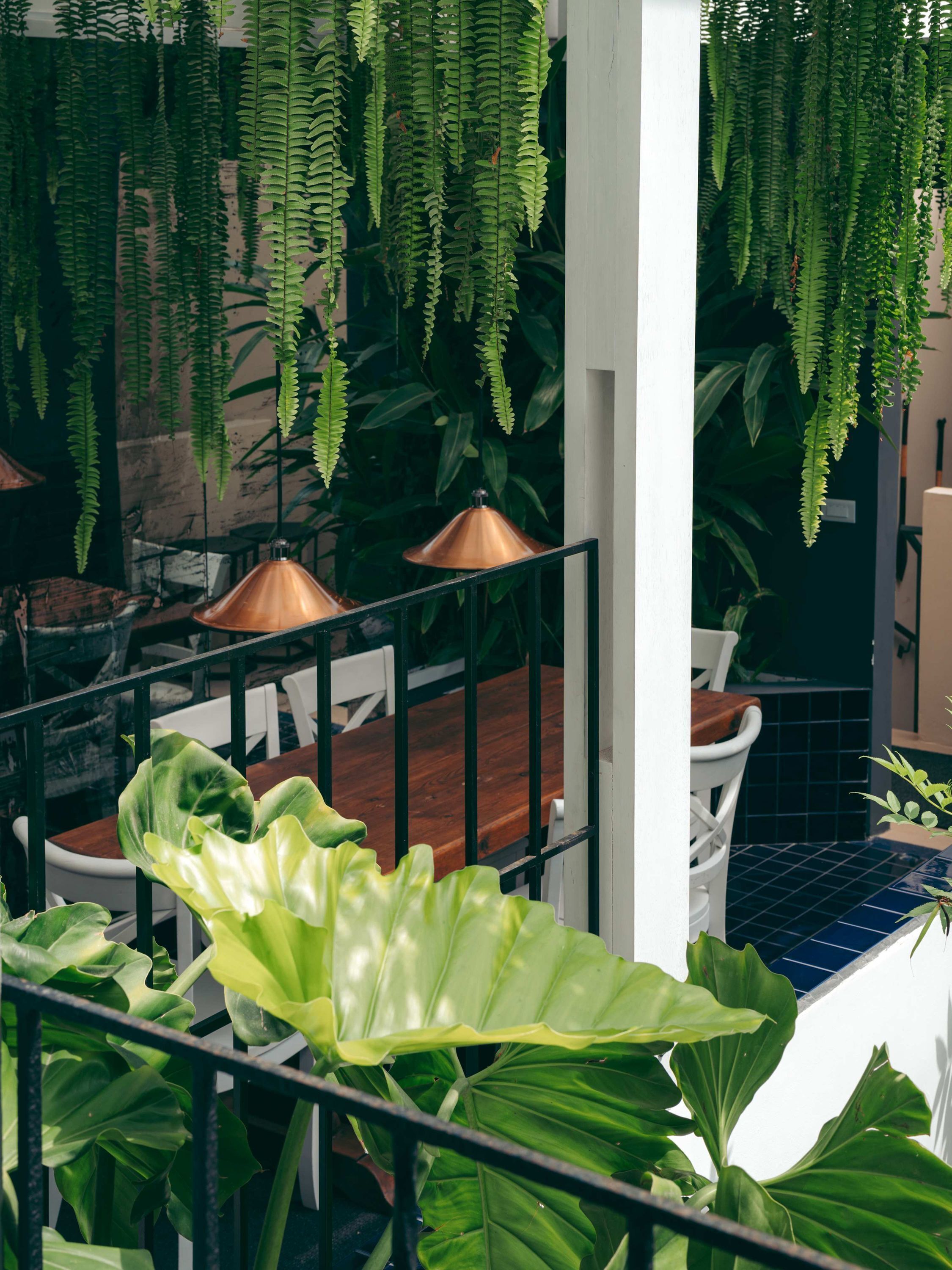 A restaurant with hanging ferns, a wooden table, and a metal railing.