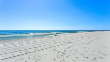 Kajakken, vissen
