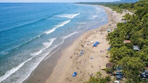 A beach with a clear view of the ocean, a sandy shore, and some trees.
