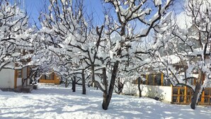 A snow-covered outdoor area with trees and a building with yellow windows. - Nine Apple Resort Dharali Harsil (Bhatwari)