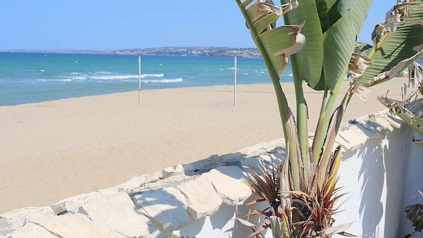 A beach with a white wall and a banana plant in the foreground. - Casa Libezia A: A welcoming apartment located right on the beach, with Free WI-FI. (Augusta)