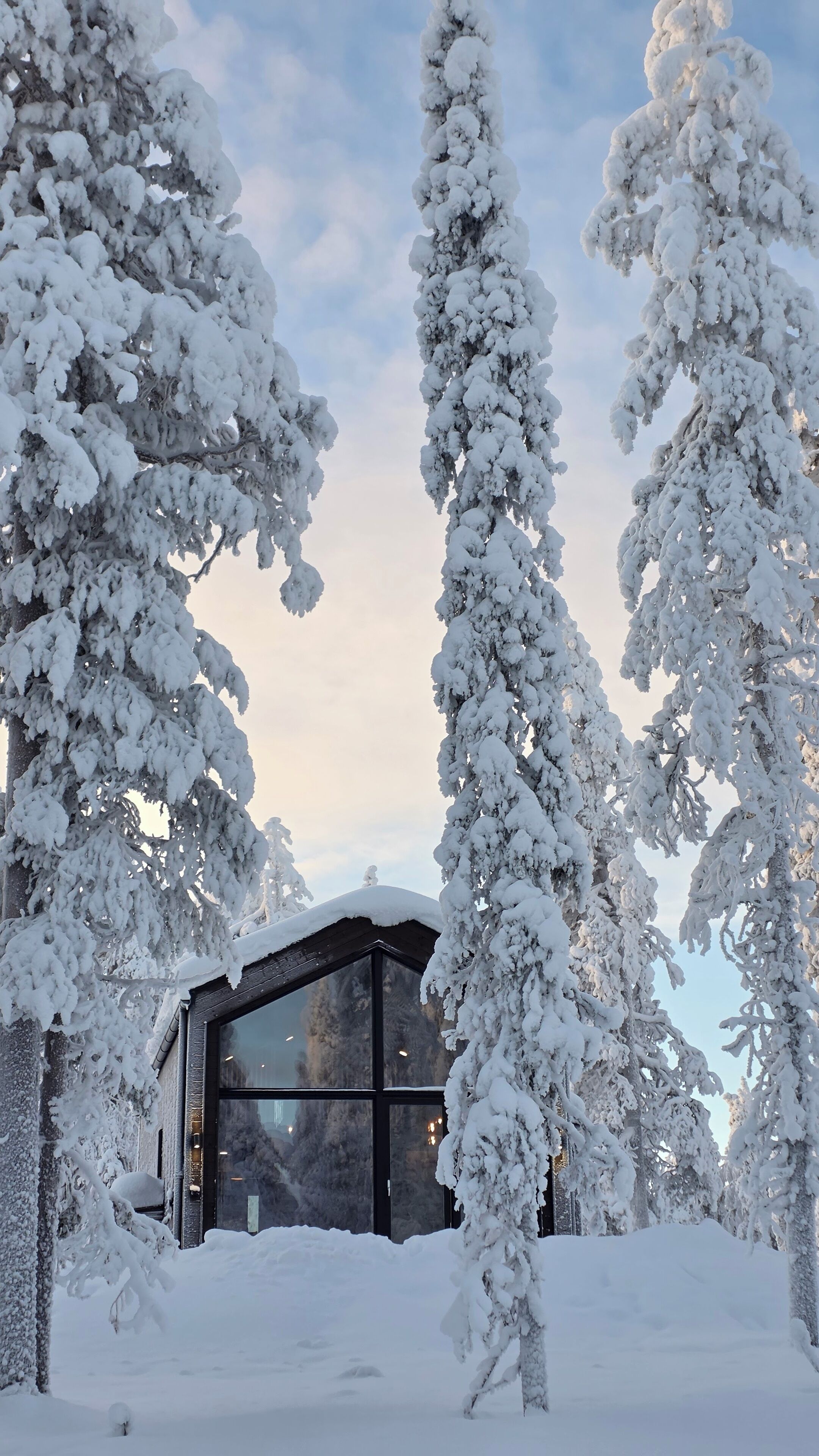 Eksteriør
