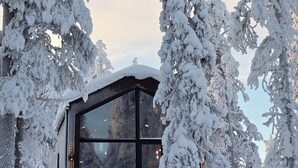 A snow-covered building with a glass facade, surrounded by snow-laden trees.