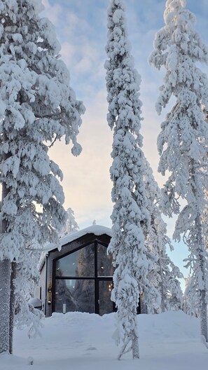 A snow-covered building with a glass facade, surrounded by snow-laden trees.