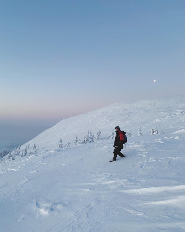 Snowshoeing - Riekko Lodge (Äkäslompolo)